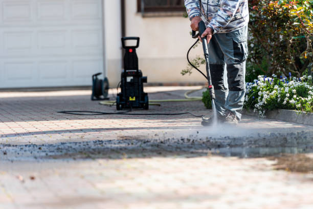 Best Pressure Washing Near Me  in Wimauma, FL